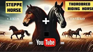 Riding horse+Steppe horse=Qostanay horse #horse #horsetraining #horsemaster #stallion #horselover