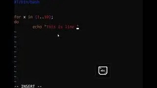 How to add a newline to a text file using bash scripting - Episode 37 - Linux For Beginners