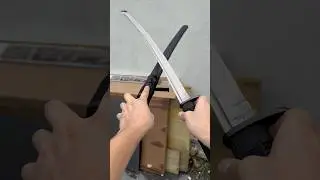 Do You Like This WAKIZASHI?? #shortsviral