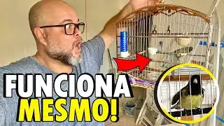 5 Coisas que faz qualquer papa capim cantar muito