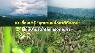 10 เรื่องน่ารู้ “อุทยานแห่งชาติทับลาน” ผืนป่ามรดกโลกทรงคุณค่า