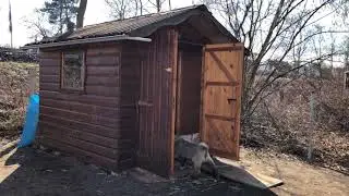 Kangal Kıtmir kulübesi 🏠