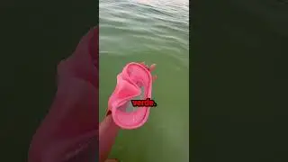 Questa RAGAZZA era in SERIO PERICOLO a MARE 