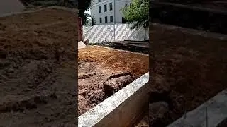 6 июля 2020 г.
