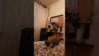 они для нас страница в жизни ,а мы для них вся жизнь