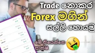 Trade නොකර Forex මගින් සල්ලි හොයමු ද.?  How to earn money without Trade
