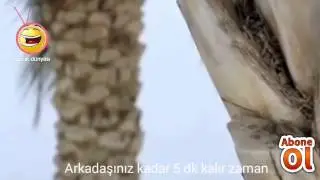 Arkadaşınız kadar 5 dk kalır zaman çok komik 😂😂😂