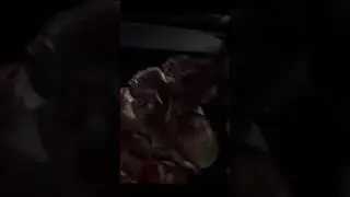 Поэзия Стихи Проза Музыка Релакс | Красивые Видео #shorts #fyr #поэзия #love