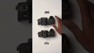 SONY A7iv VS A9iii test speed continuous #shorts