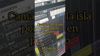 Camaron De La Isla Por Rumbas adelanto 2021 mundo loco