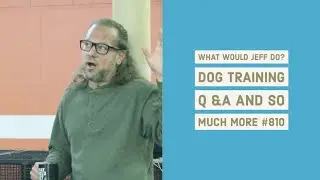 Dog Training Q & A 