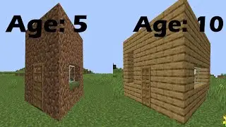 houses at different ages