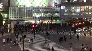 The madness of Shibuya crossing...