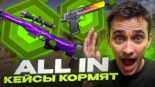 💎 WHICH CS 2 CASES GIVE MONEY - RISE WITH SKINS | Sites with CS 2 Cases | CS 2 Cases
