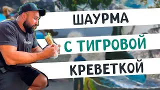 Фэшн шаурмичная в Днепре
