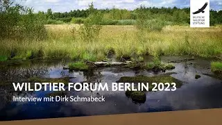 Wildtier Forum Berlin 2023: Interview mit Dirk Schmabeck