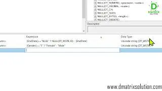 Master Derived Column & Data Conversion in SSIS | SQL Server Integration Services | Raheel Rupani