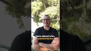 MIT ILI ISTINA? Da li su detoks dijete stvarno efikasne?