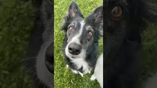 what do you think. # short video.