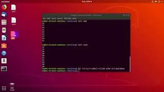How to Use Head and Tail Command in Linux Terminal | Basic Linux Commands | Head and Tail Command