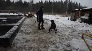 Шерри, рядом, наши ошибки...