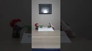 Saçma Sapan Sorular