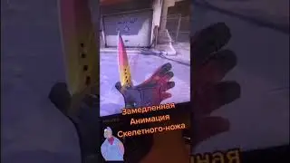 28 января 2024 г.