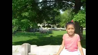 Detroit Zoo