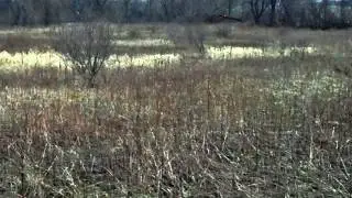 3163.mp4