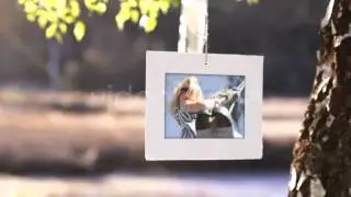 [VPJ] - Photo Gallery on a Sunny Afternoon
