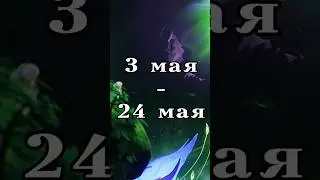 СИГНА БАЙ ЧЖУ 3.6 | Геншин Импакт | 