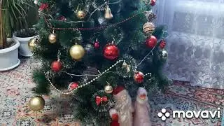 А у вас так бывает? Домашние хлопоты.