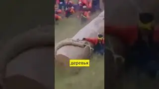 Амбасира Японии  