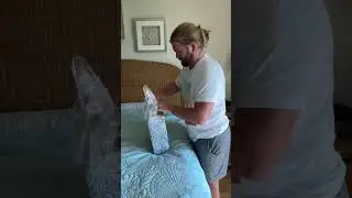 Momcozy Pregnancy Pillow - My Wife Loves It