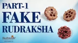 Identify Fake Rudraksha - Part 1 - Rudralife
