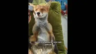 Твой дар в ловкости! 26 генный ключ #ключисчастья