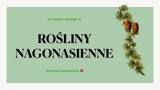 #16 Rośliny nagonasienne - budowa, charakterystyka, cykl rozwojowy 🌲 matura biologia rozszerzona 📕