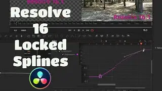 Resolve 16 Spline Editor Locked Points