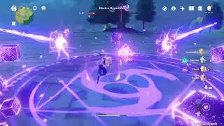 Genshin impact aleph hypotases
