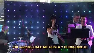 SHOW DE MUSICA DE PLANCHA