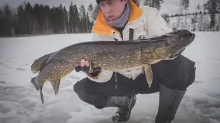 Trophy Pike under 5 kg. Fishing for large perch and pike in winter.