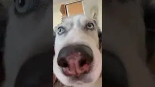 Всем спокойной ночи😂