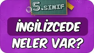 5. Sınıf İngilizcede Neler Var? İngilizce Dersine Nasıl Çalışır❓
