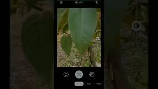 Gcam all  device android