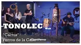 TONOLEC, 