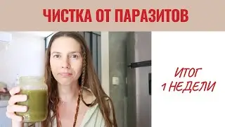 ЧИСТКА ОТ ПАРАЗИТОВ- итог первой недели
