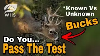 Deer Hunting Checkup