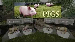 PIGS