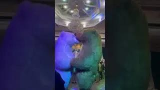 Мишка танца ayiqlar raqsi tuyda uynashi