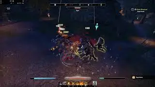 Elder Scrolls  Online CP806